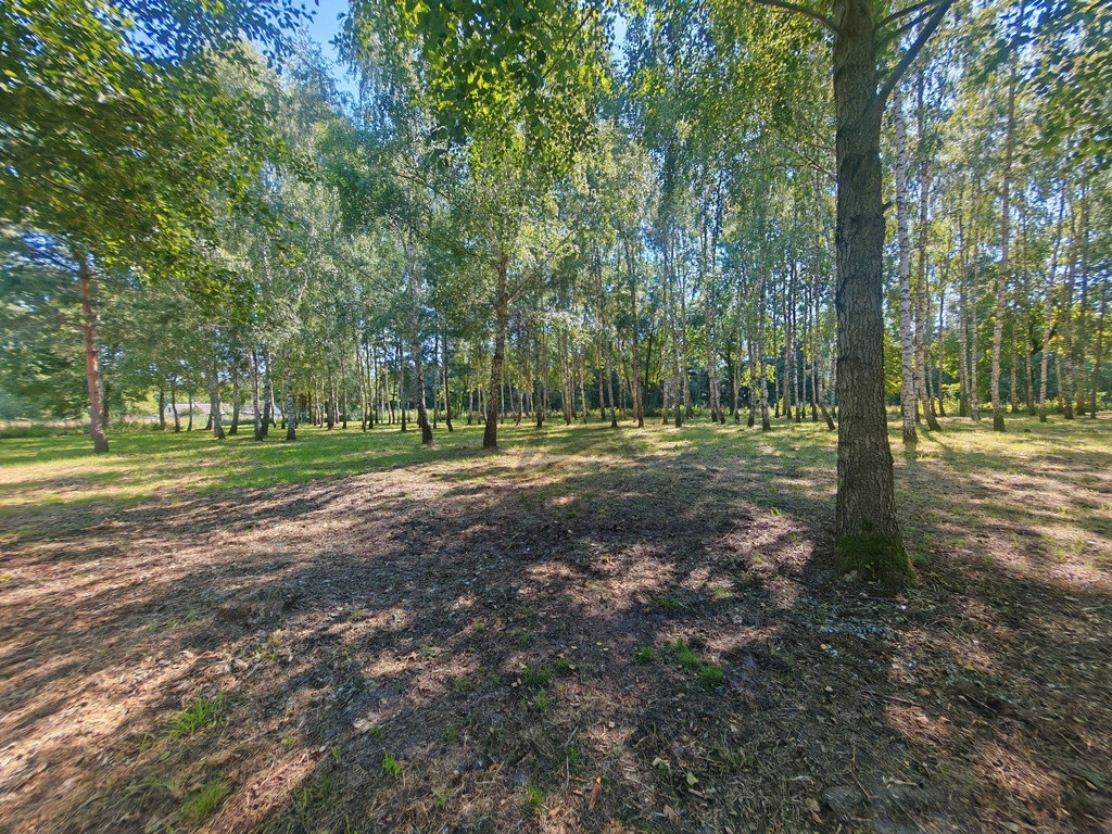Działka Sprzedaż Madajka