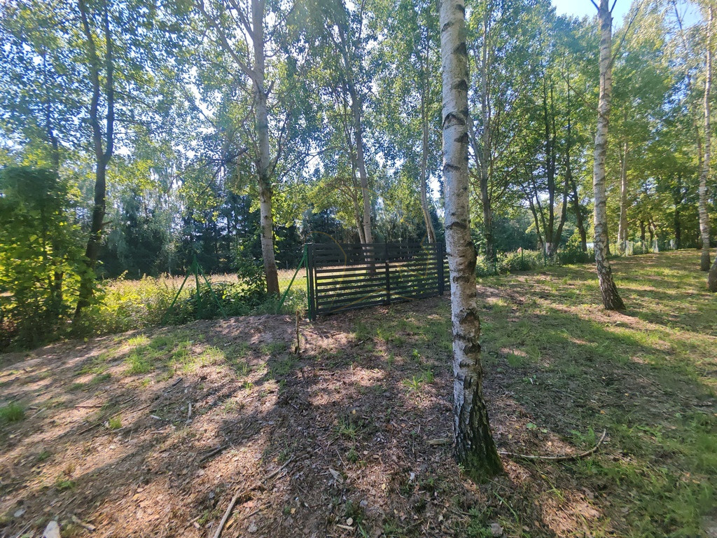 Działka Sprzedaż Madajka