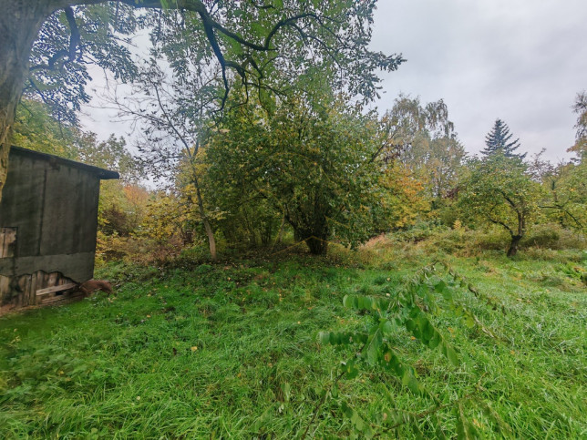 Działka Sprzedaż Łódź Łódź-Polesie 1 Korpusu Pancernego WP 5