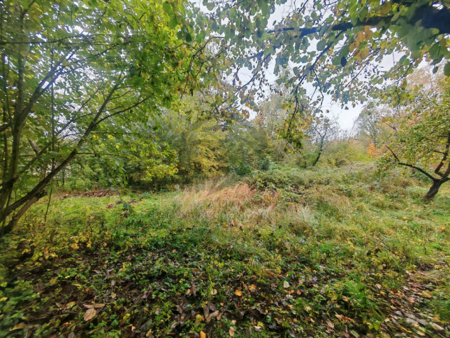 Działka Sprzedaż Łódź Łódź-Polesie 1 Korpusu Pancernego WP 20