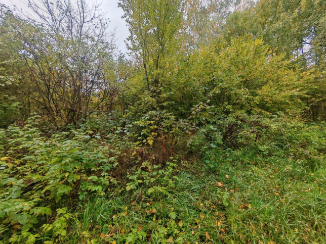 Działka Sprzedaż Łódź Łódź-Polesie 1 Korpusu Pancernego WP 11