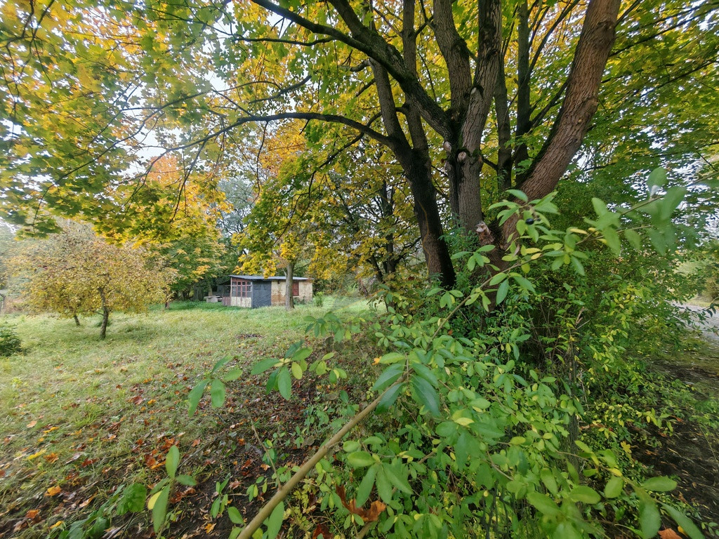 Działka Sprzedaż Łódź Łódź-Polesie 1 Korpusu Pancernego WP