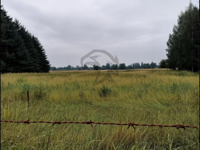 Działka Sprzedaż Pustkowa Góra 11