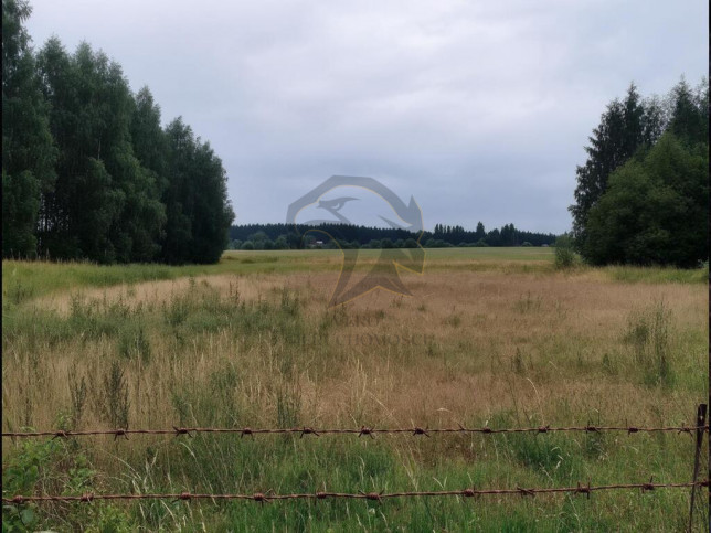 Działka Sprzedaż Pustkowa Góra 12