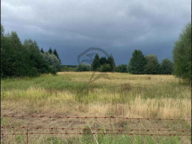 Działka Sprzedaż Pustkowa Góra 19