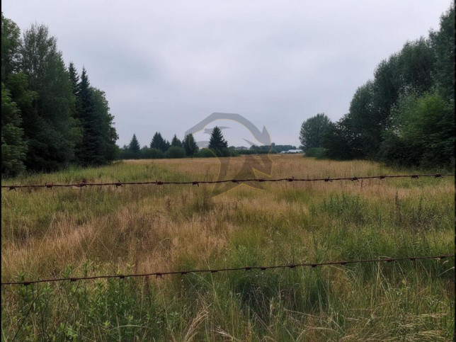 Działka Sprzedaż Pustkowa Góra 21