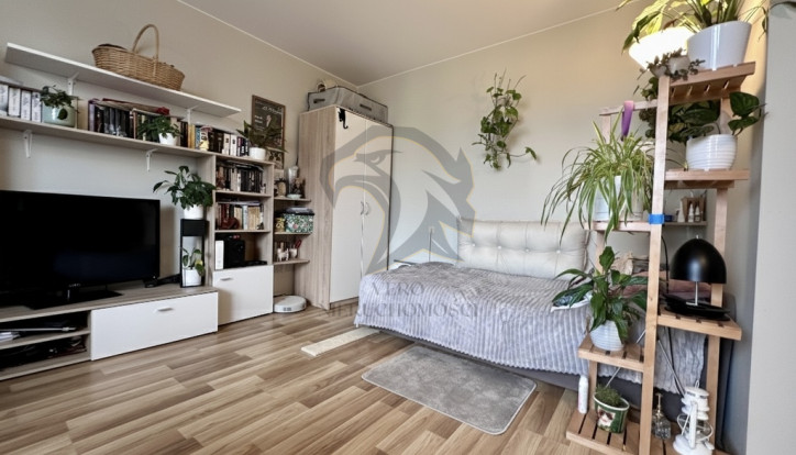 Mieszkanie Sprzedaż Łódź Łódź-Polesie Srebrzyńska 18