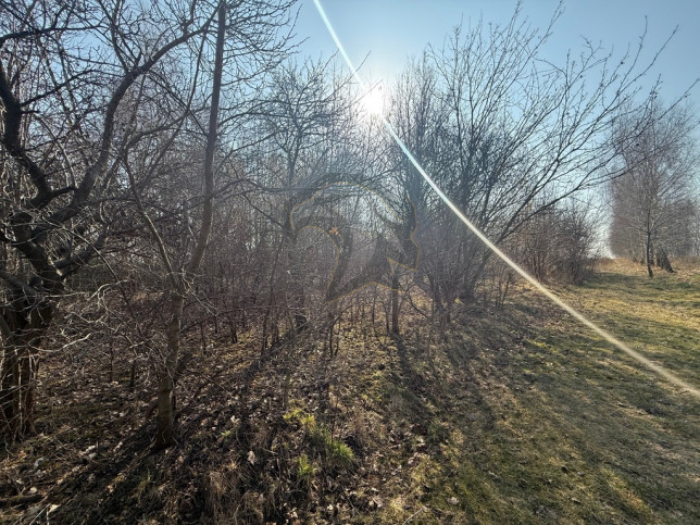Działka Sprzedaż Łódź Łódź-Górna 12