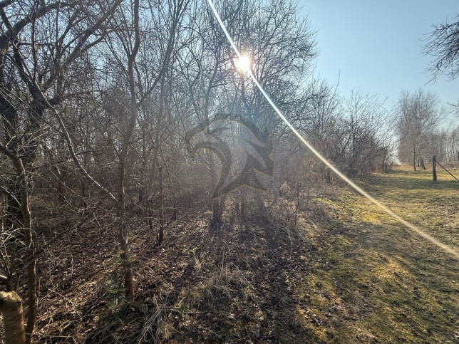 Działka Sprzedaż Łódź Łódź-Górna 3
