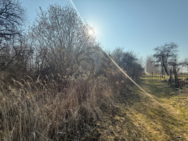 Działka Sprzedaż Łódź Łódź-Górna 13