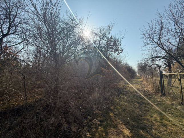 Działka Sprzedaż Łódź Łódź-Górna 11