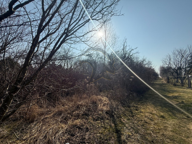 Działka Sprzedaż Łódź Łódź-Górna 15