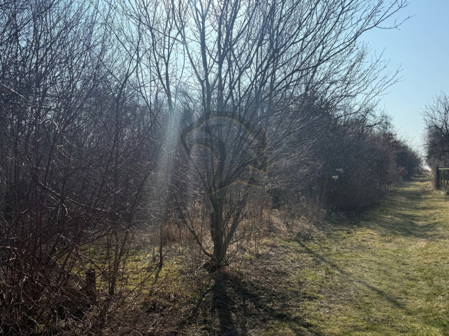 Działka Sprzedaż Łódź Łódź-Górna 16