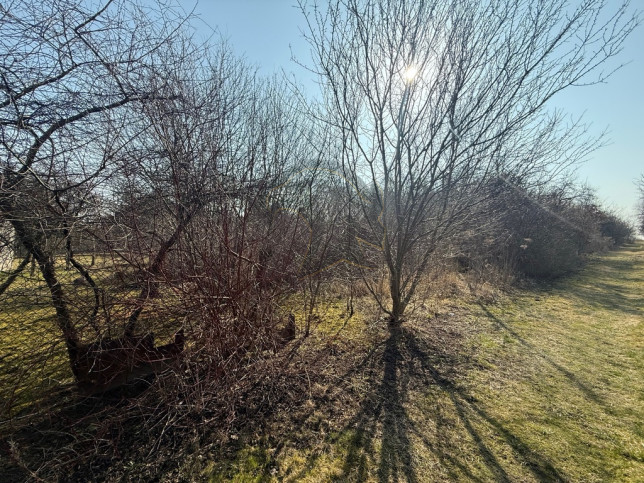 Działka Sprzedaż Łódź Łódź-Górna 18
