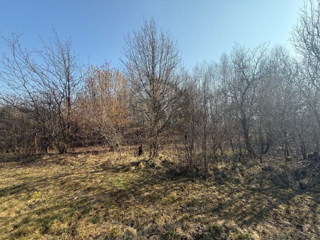 Działka Sprzedaż Łódź Łódź-Górna 19
