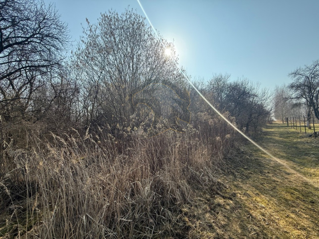 Działka Sprzedaż Łódź Łódź-Górna 20