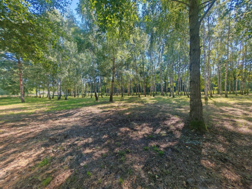 Działka Sprzedaż Madajka