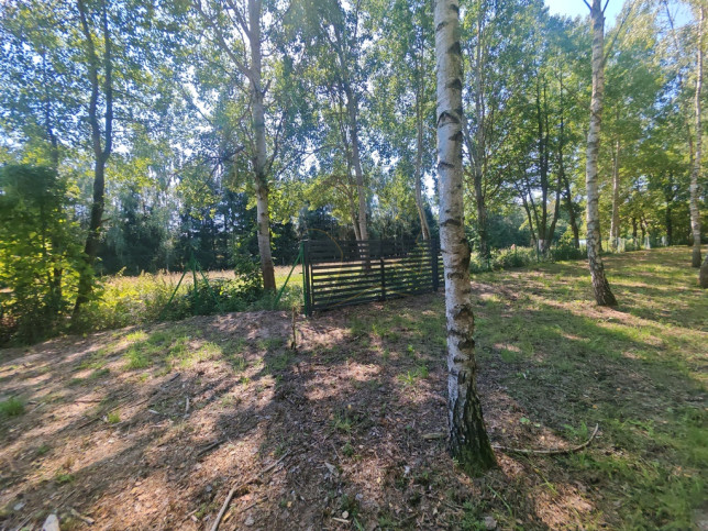 Działka Sprzedaż Madajka 1