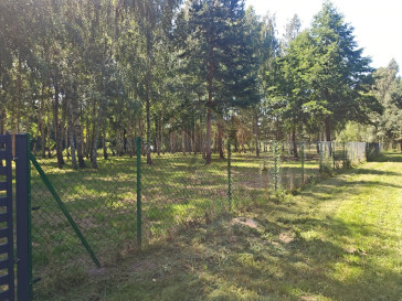 Działka Sprzedaż Madajka