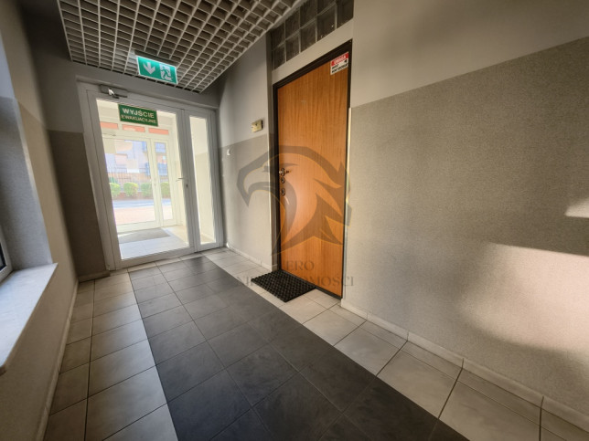 Lokal Wynajem Łódź Śródmieście 5