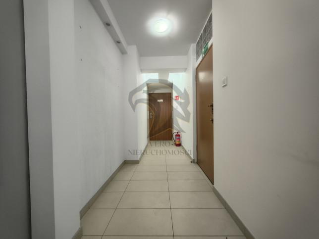 Lokal Wynajem Łódź Śródmieście 4