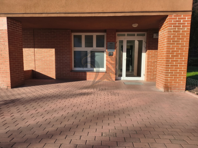 Lokal Wynajem Łódź Śródmieście 12
