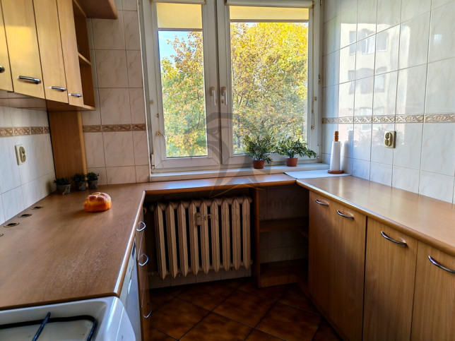 Mieszkanie Sprzedaż Łódź Polesie 18